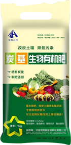  炭化气化炉环保设备