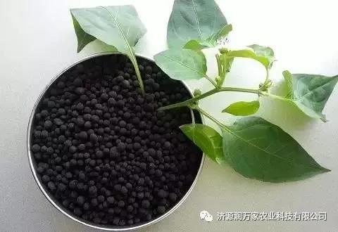 炭化气化炉环保设备 炭化气化炉环保设备